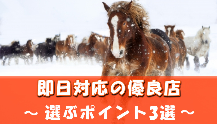 即日対応しているクレジットカード現金化業者を選ぶポイント